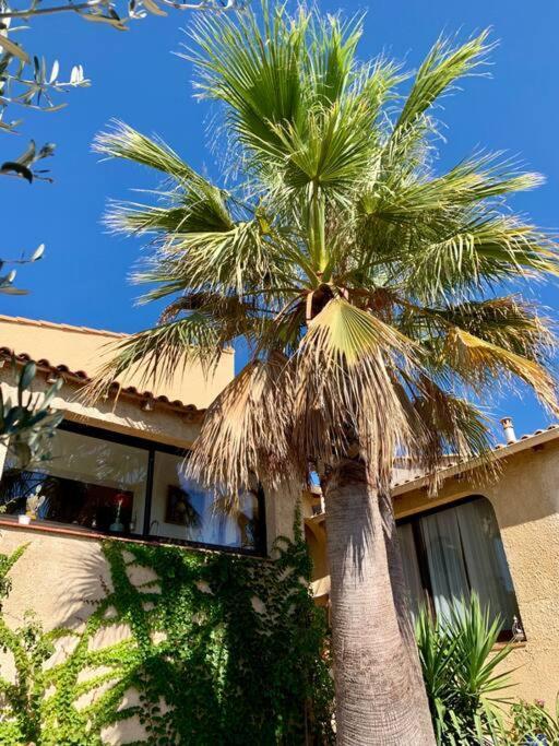 Charmante Villa Avec Une Ame. Pignan Exterior foto