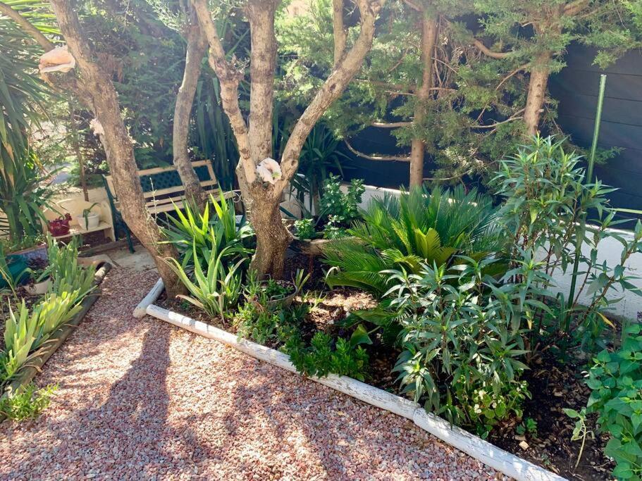 Charmante Villa Avec Une Ame. Pignan Exterior foto