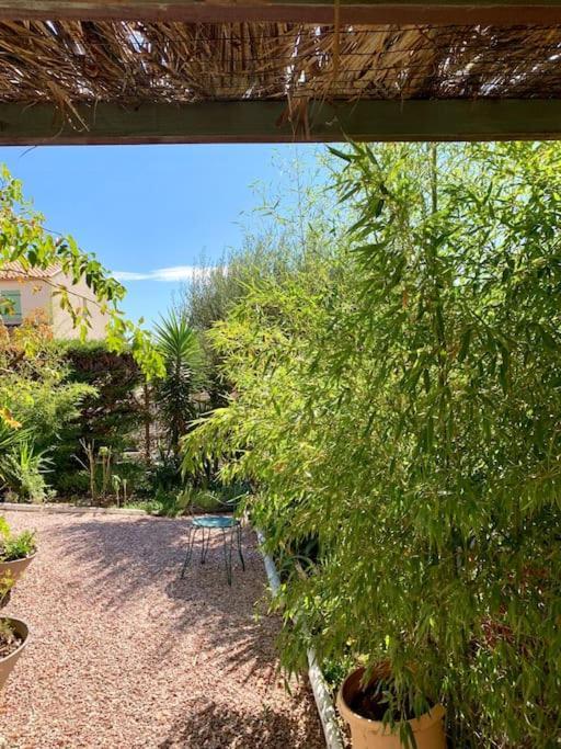 Charmante Villa Avec Une Ame. Pignan Exterior foto